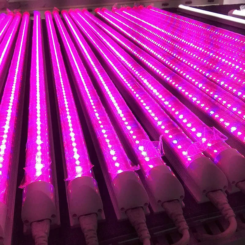indoor grow lights for vegetables