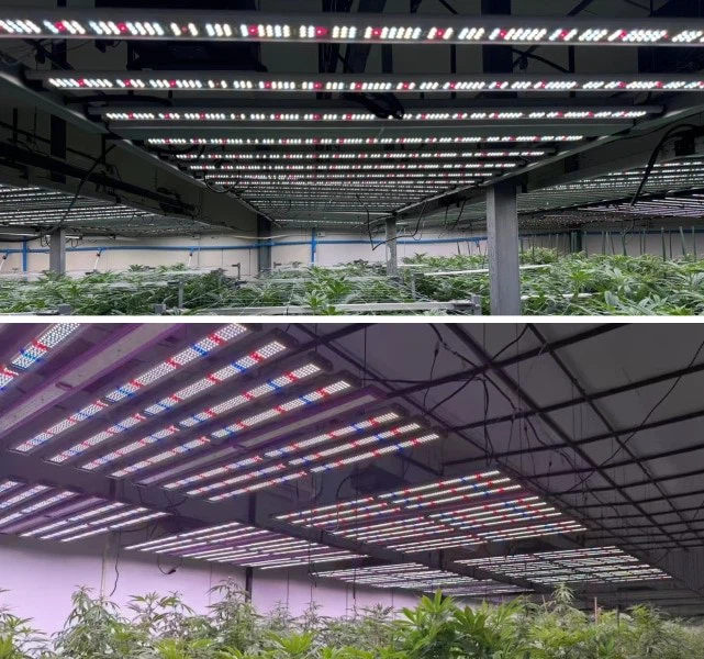 Foldable vs moludar Foldable vs moludar