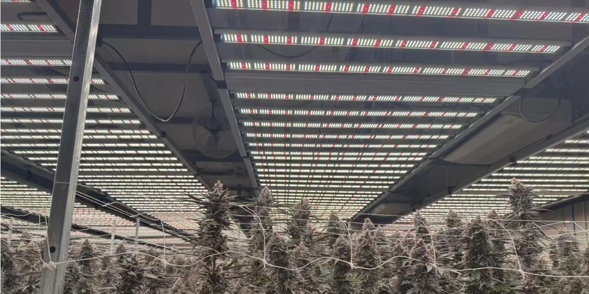 foldable LED grow lights foldable LED grow lights