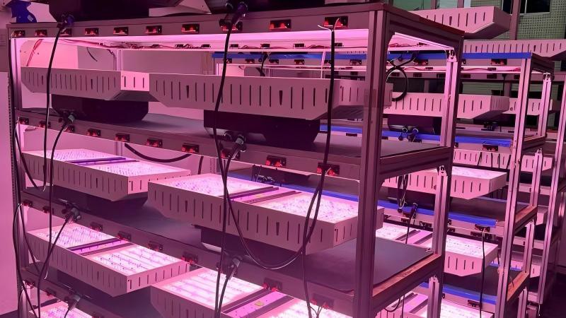 Waterproof grow light for commercial greenhouse Waterproof grow light for commercial greenhouse