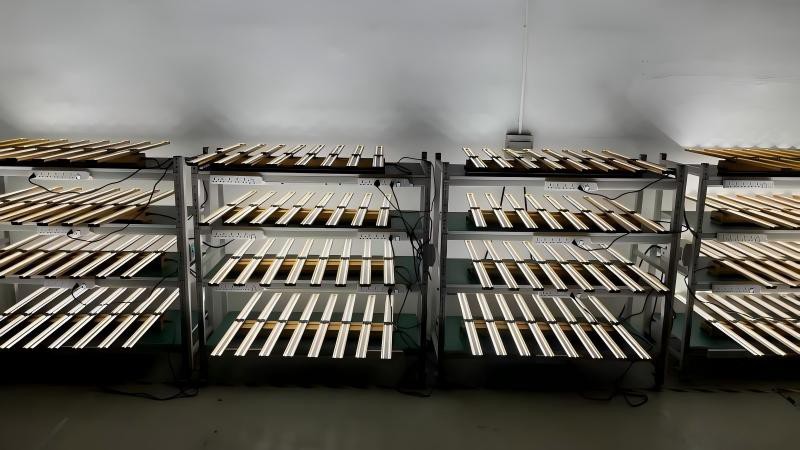 spider LED GROW LIGHTS spider LED GROW LIGHTS