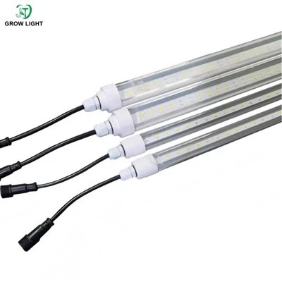 Les 10 principaux fournisseurs mondiaux de lampes pour l'agriculture verticale