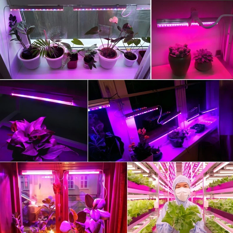 Vertical LED Grow Light